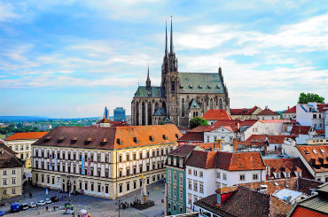 Léčba bolesti ramene Brno